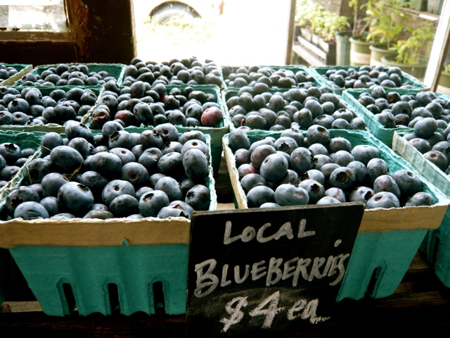 local blueberries